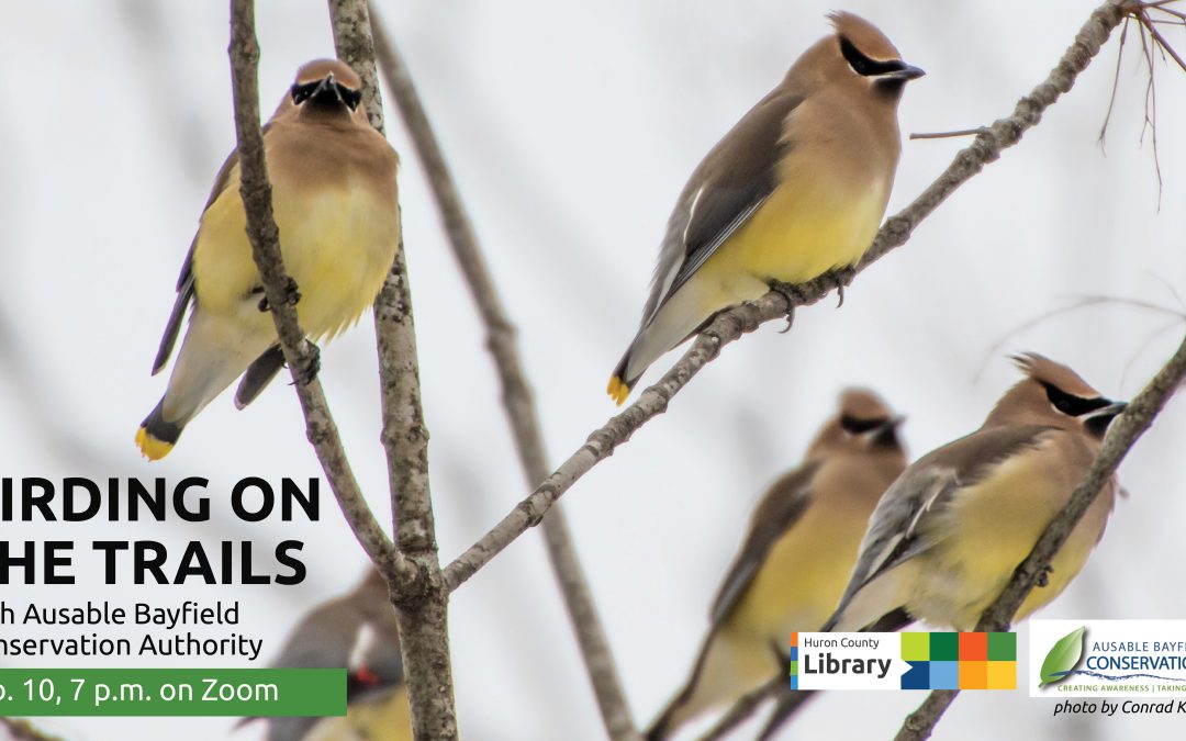Birding on the Trails with Ausable Bayfield Conservation Authority