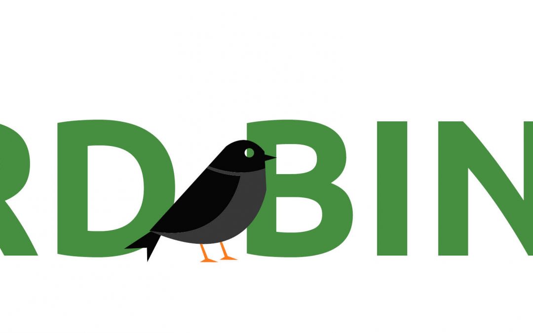 Bird Bingo with illustrated birds