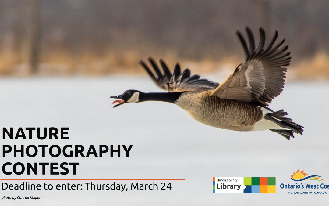 Photo of a Canada Goose with text promoting nature photography contest
