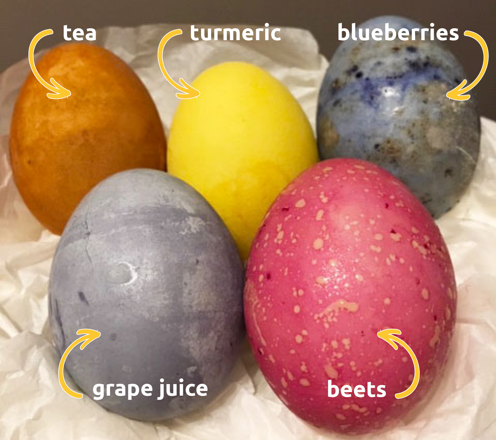 Image of naturally dyed eggs with labels