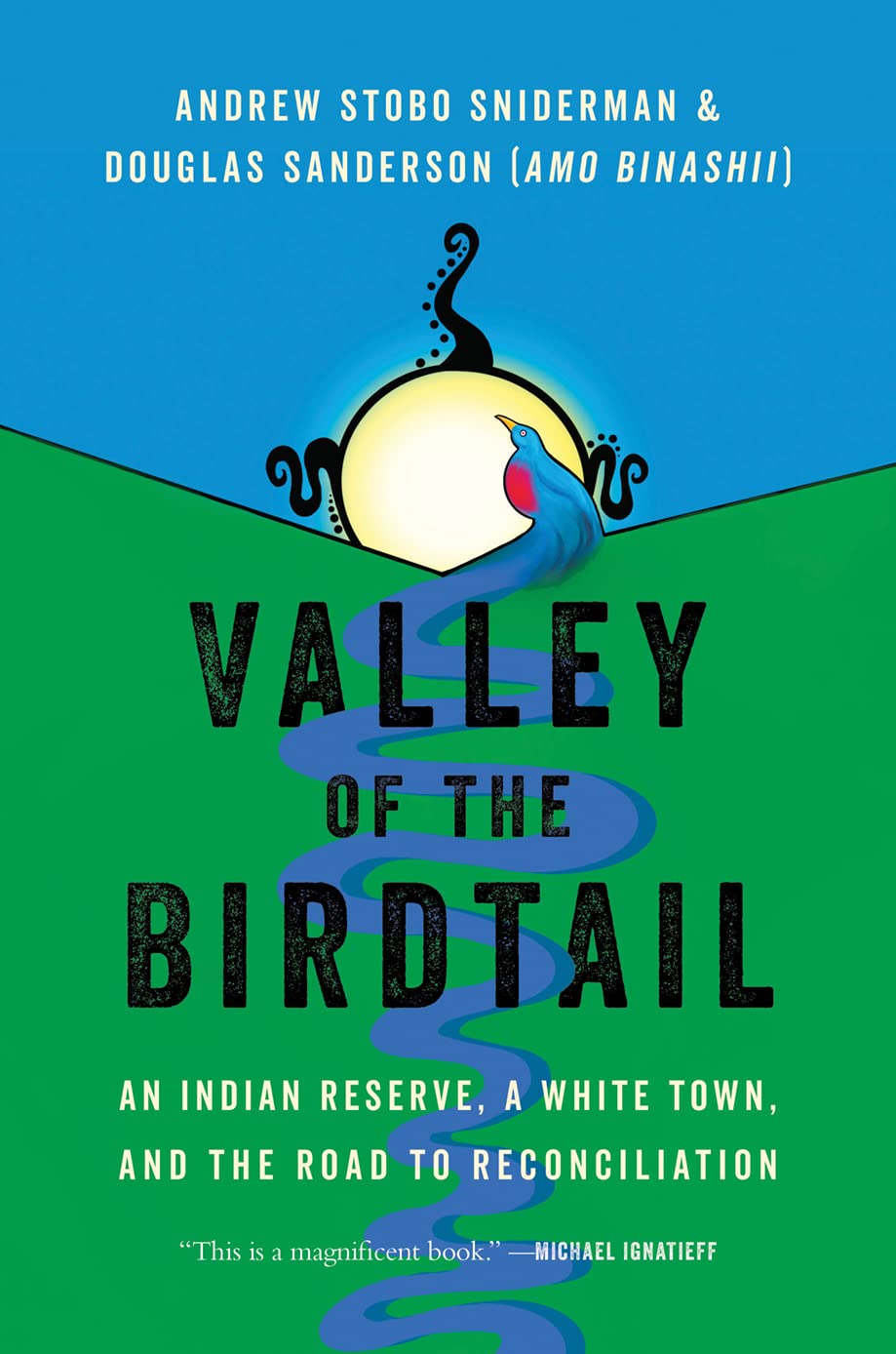 Book cover for Valley of the Birdtail