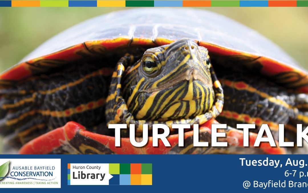 Turtle Talk with the Ausable Bayfield Conservation Authority – Bayfield
