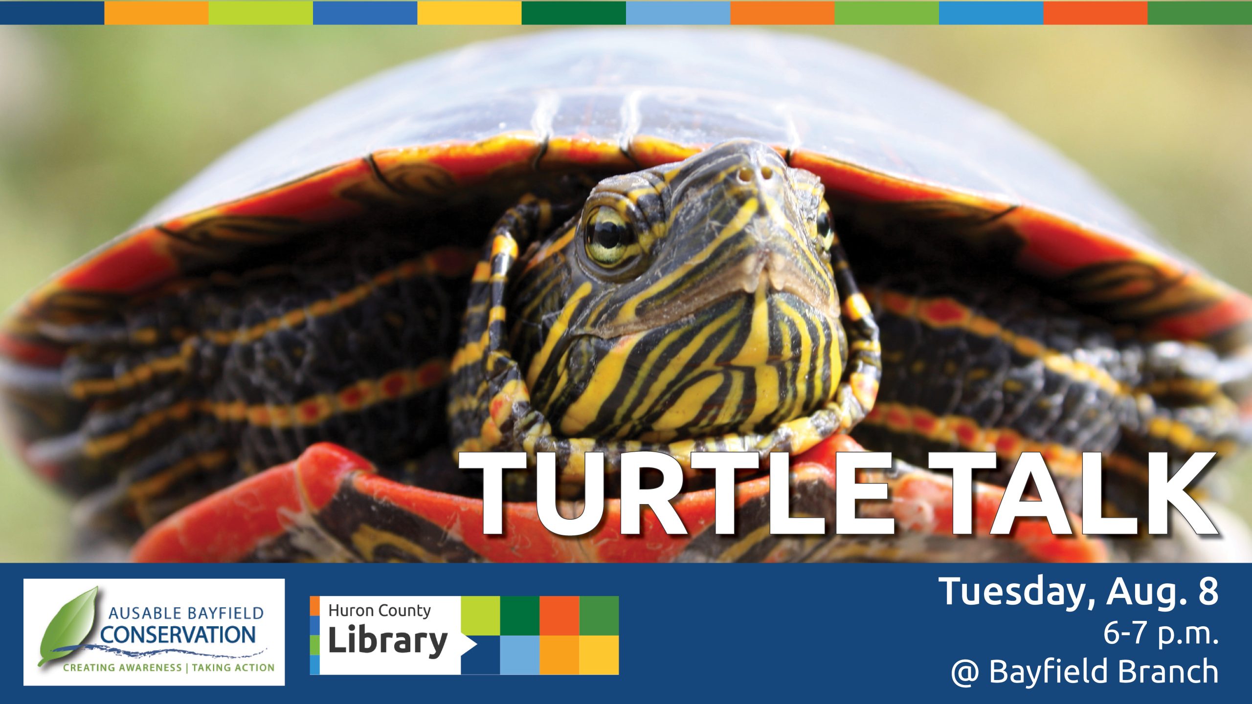 Image of a turtle with text promoting Turtle Talk at Bayfield Branch