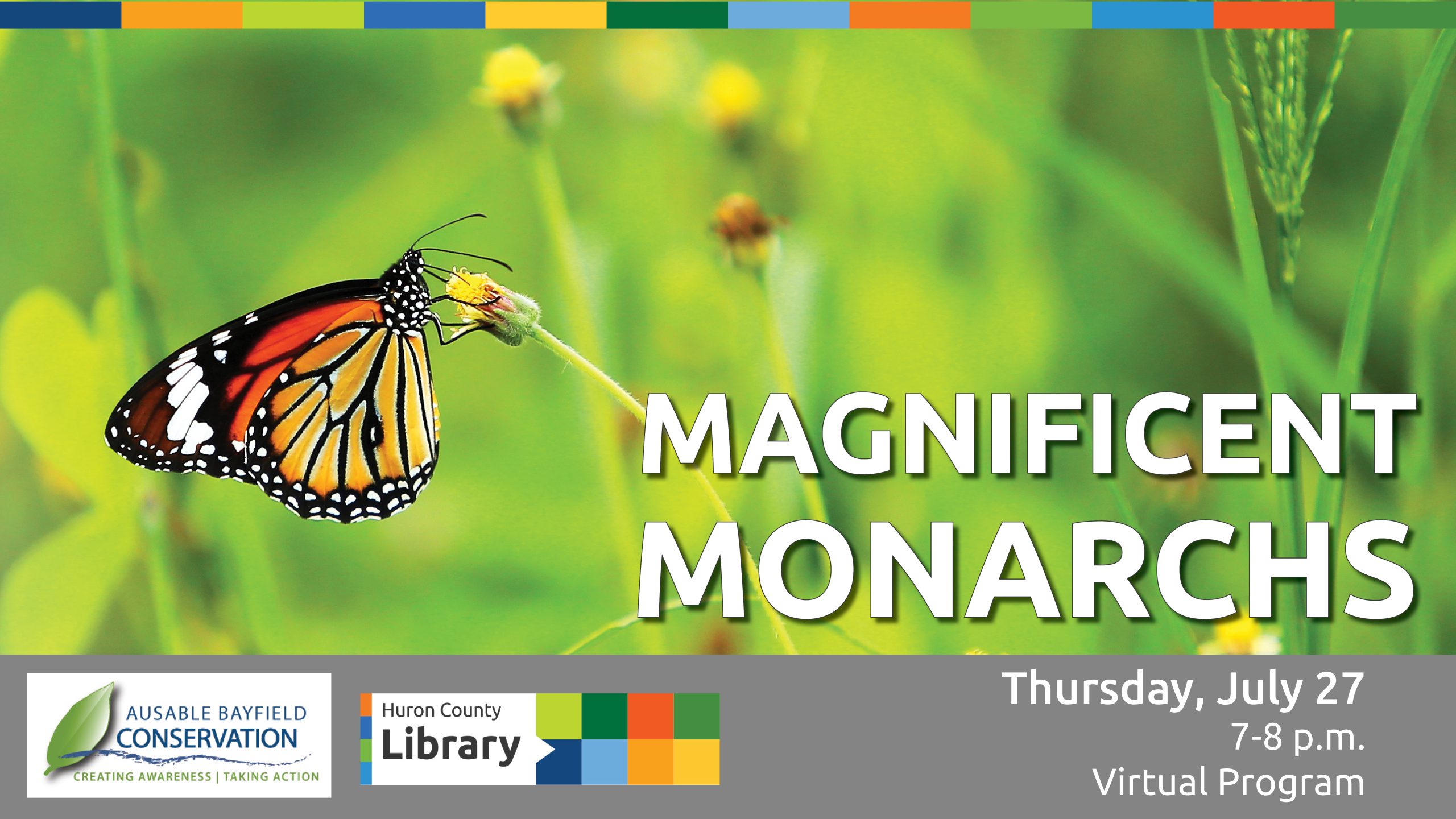 Image of a Monarch Butterfly on a flower with text promoting virtual Magnificent Monarchs program
