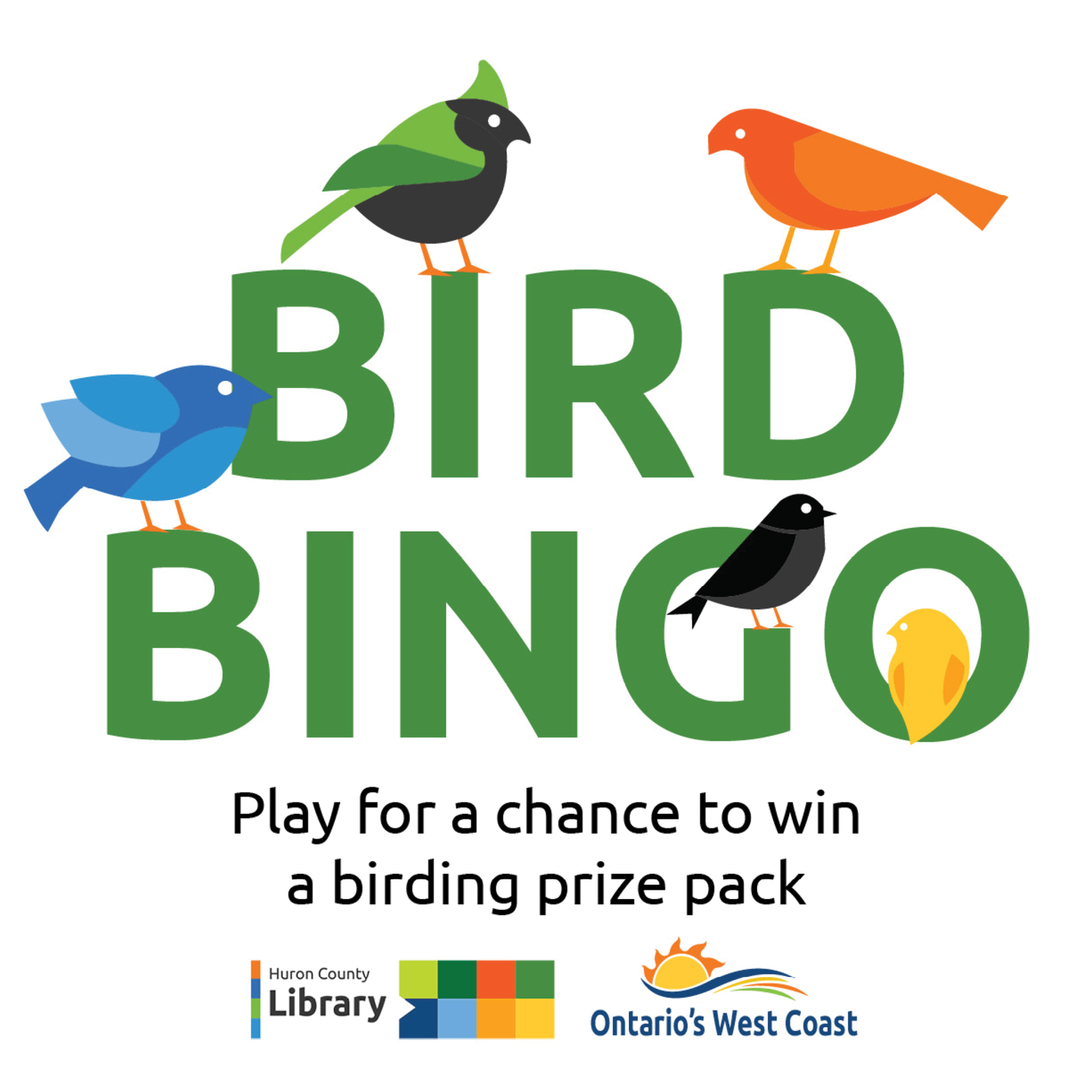 Illustration of birds sitting on text that reads Bird Bingo
