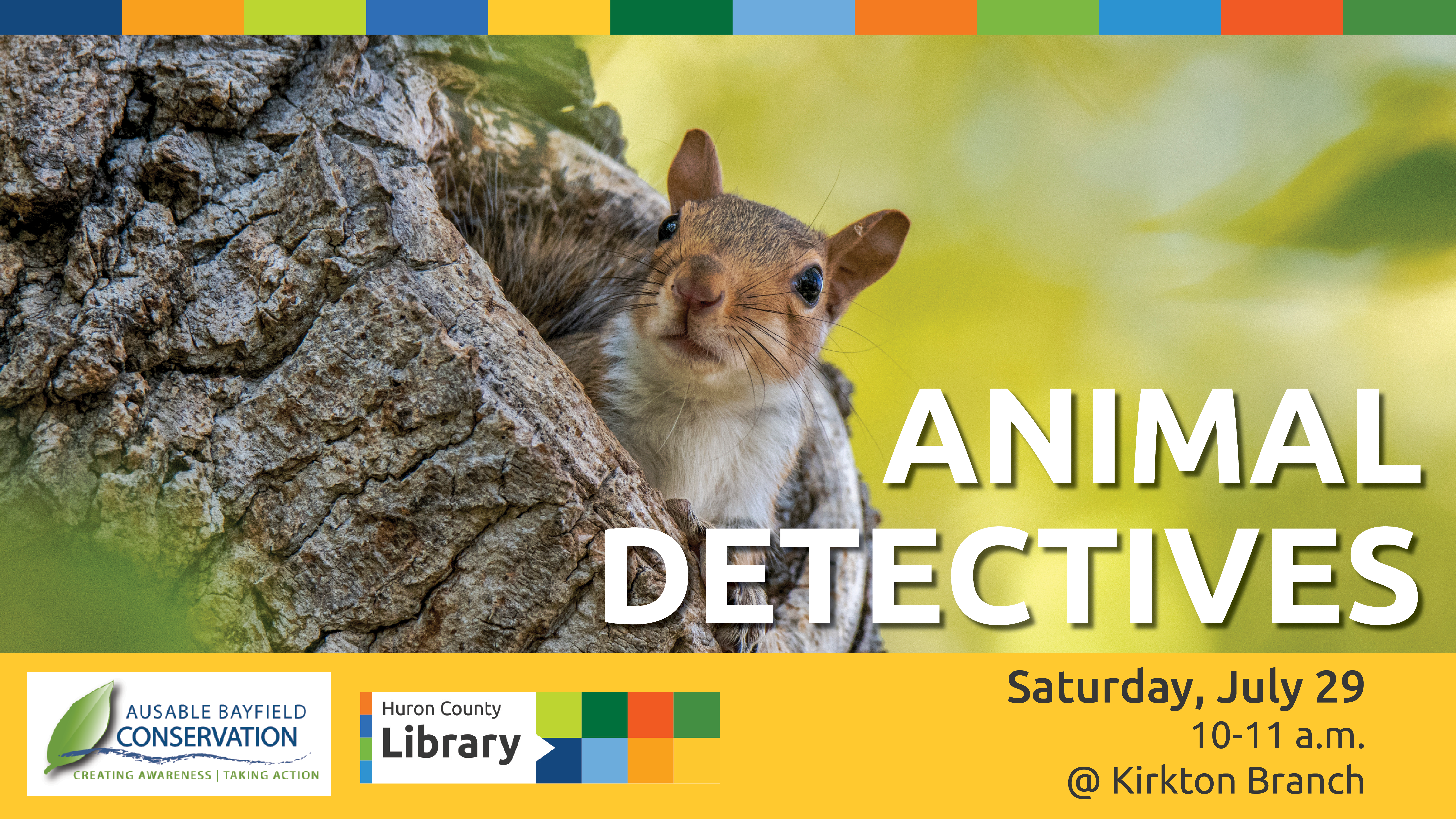 Image of a squirrel in a tree with text promoting Animal Detectives at Kirkton Branch