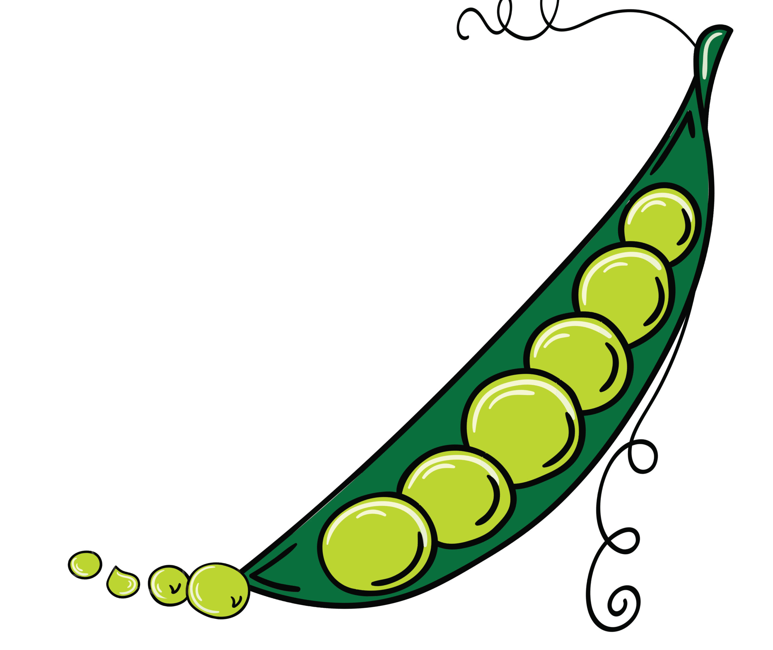 Illustration of peas in a pod