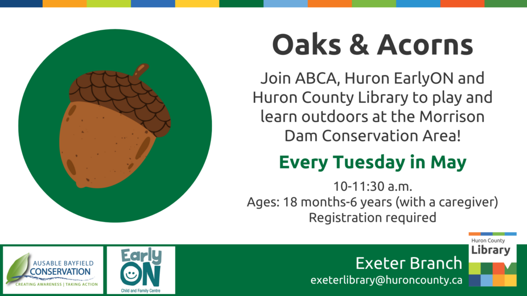 Illustration of an acorn with text promoting Oaks & Acorns in Exeter